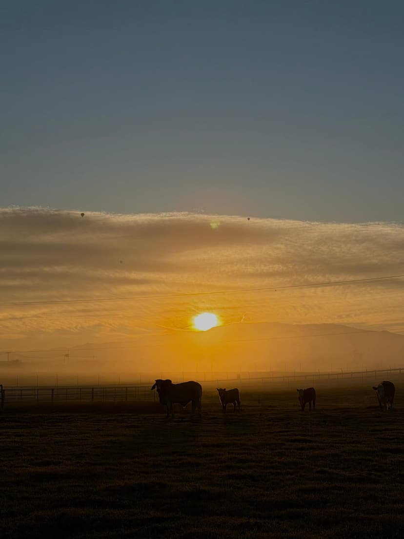 Golden hour on the Hawk Ranch pasture