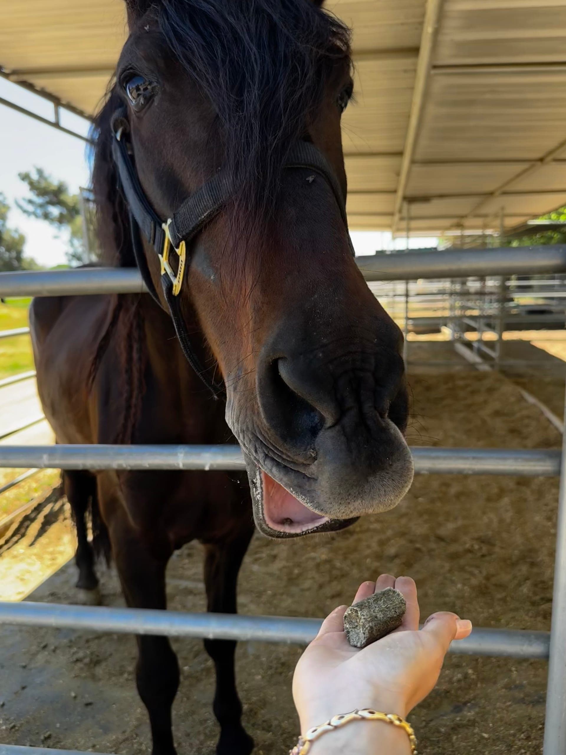 Guest photo with Colorado