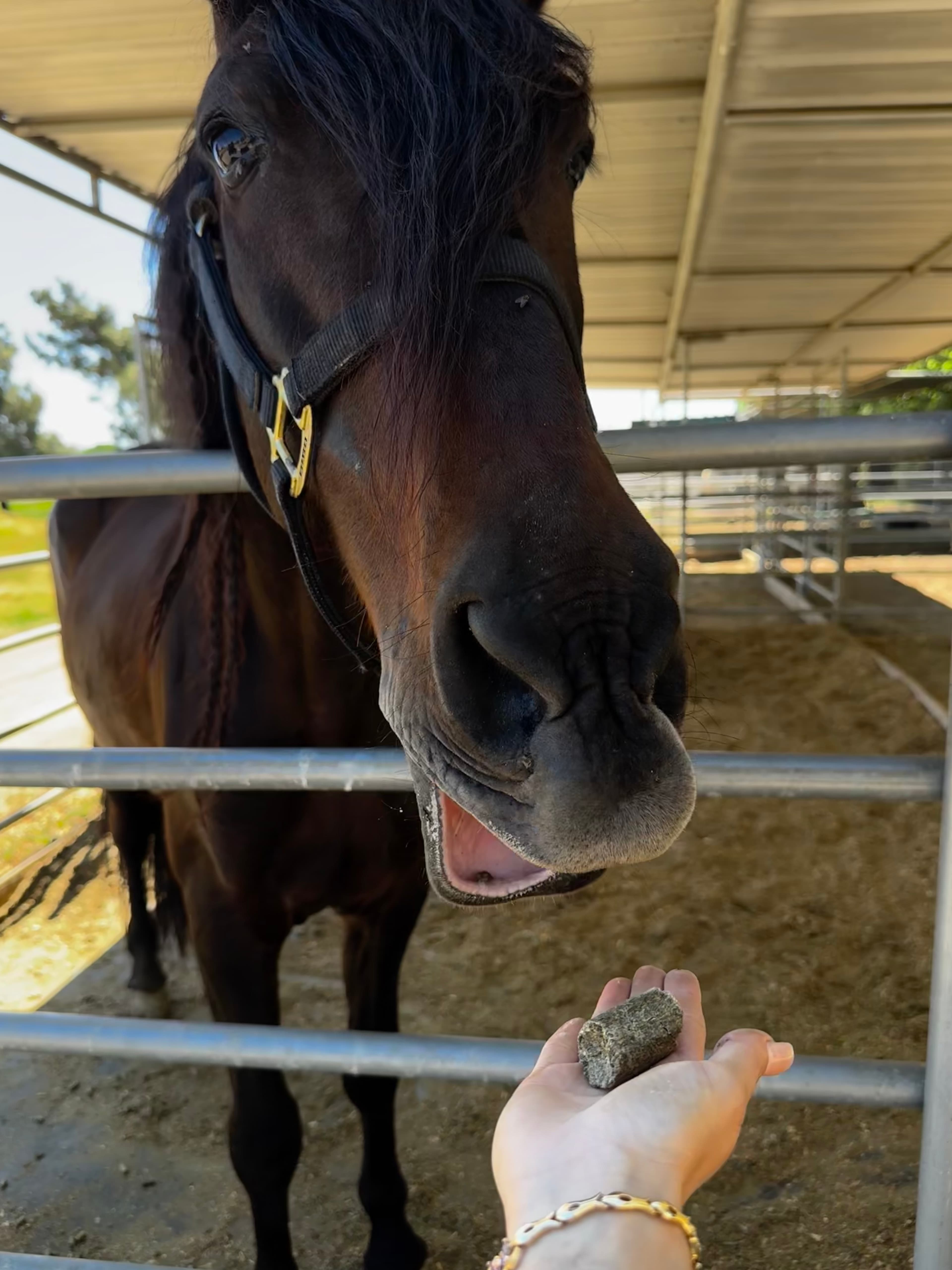 Guest photo with Colorado