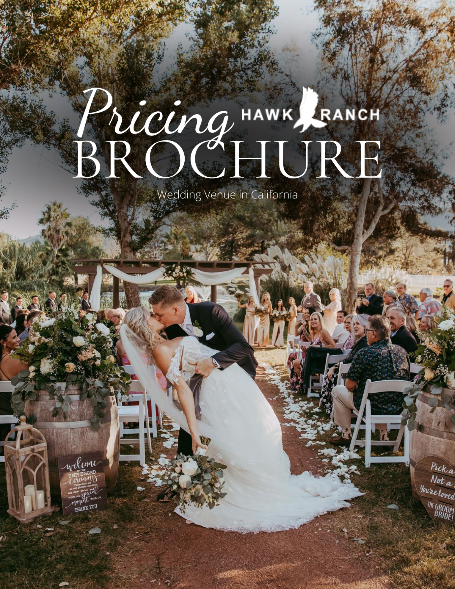 v1 brochure Brochure Cover Image